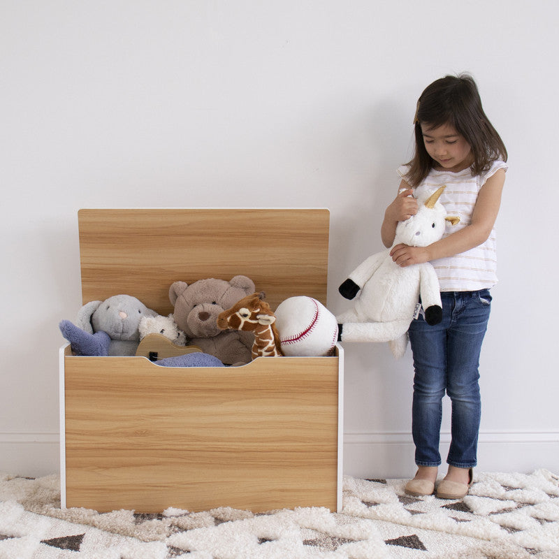 Hinged Toy Storage Chest with Lid, Natural Wood